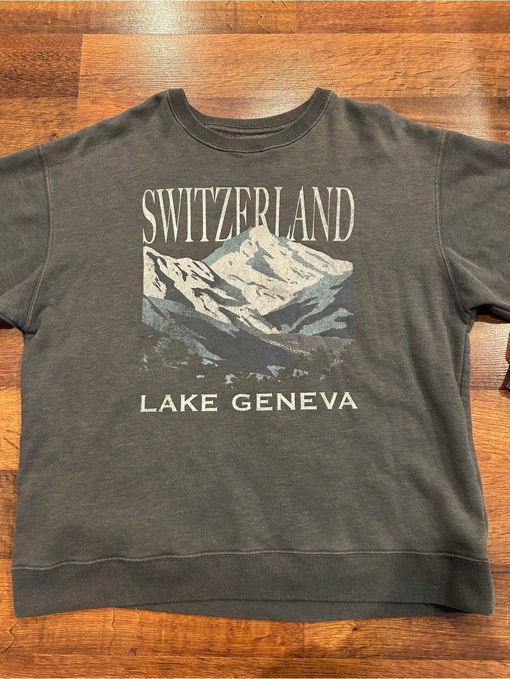 Hollister Gray Switzerland Lake Geneva Sweatshirt Womens Medium Crewneck